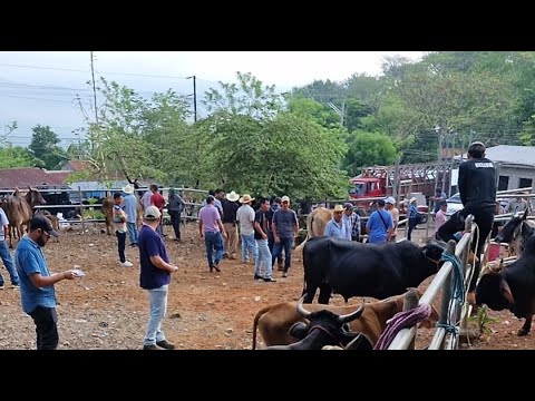 Osicala, Morazán, El Salvador, viernes 24 de Abril 2026