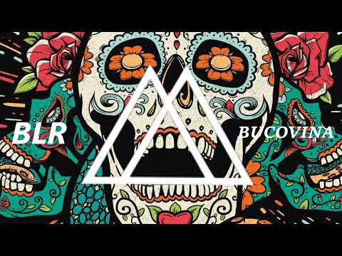 BLR & Rave & Crave - TAJ X Drop Department x SuitStatic - BUCOVINA (M4T!S MASHUP)