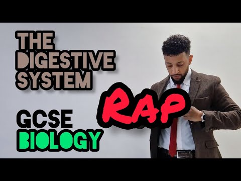 Science Raps: GCSE Biology - The Digestive System