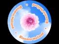 Bloomin'Holland (Floriade 2012) (English)