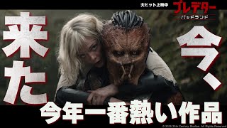 コメント予告｜今年一番熱い映画が来た！デク頑張れ！