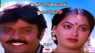 26 October 2025🙏❤️👍#One thousand in your eyes#Like for a beautiful voice👍#Amman Temple Kizakkale