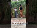 Bombay Ponnu Jiguna Kannu Tamildance Insta Shorts