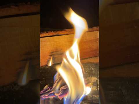 Hearths and Beginnings ❤️‍🔥 T.G.I.F. Le Tigre #tgif #letigre @L@LeTigreWorld