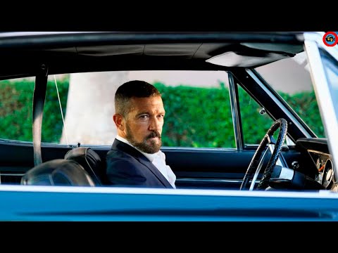 2022 O Assassino Perfeito