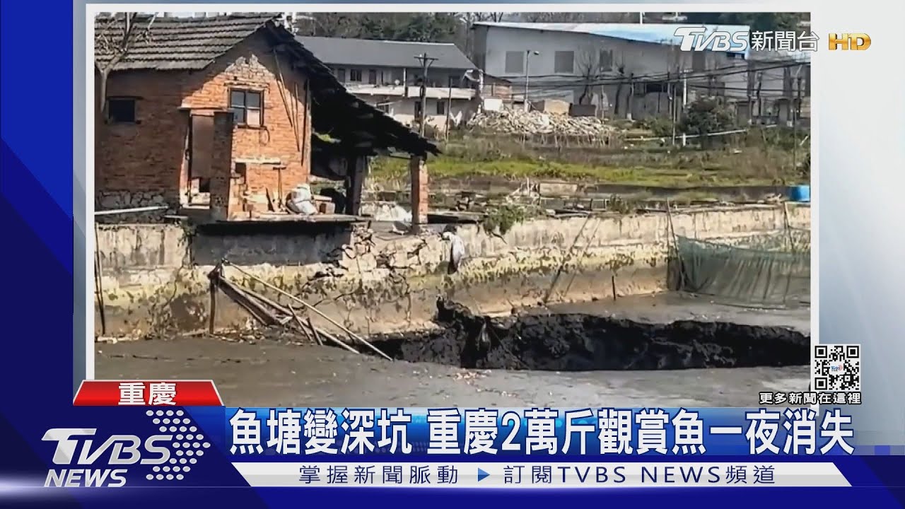 魚塘變深坑 重慶2萬斤觀賞魚一夜消失