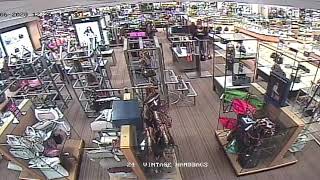 Person of Interest: Theft