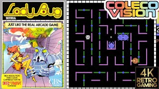Lady Bug Colecovision 4k Gameplay