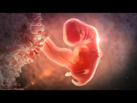 WDR / Quarks & Co: Intersexualiät - Warum es mehr als zwei Geschlechter gibt