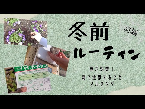 庭を寒さや霜から守る肥料は何ですか?この冬おすすめの5本をご紹介します!  庭園