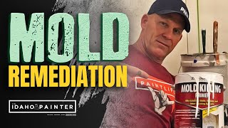 Mold Remediation. How to Get Rid of Mold!