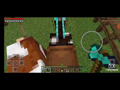 (MINICRAFT) SHQIP SURVIVAL