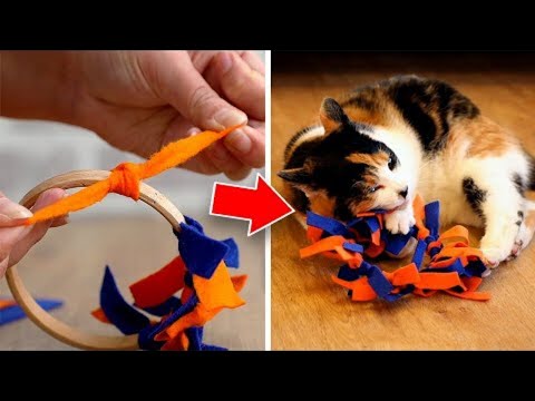 Easy To Make DIY Cat Toys Your Pet Will Love!