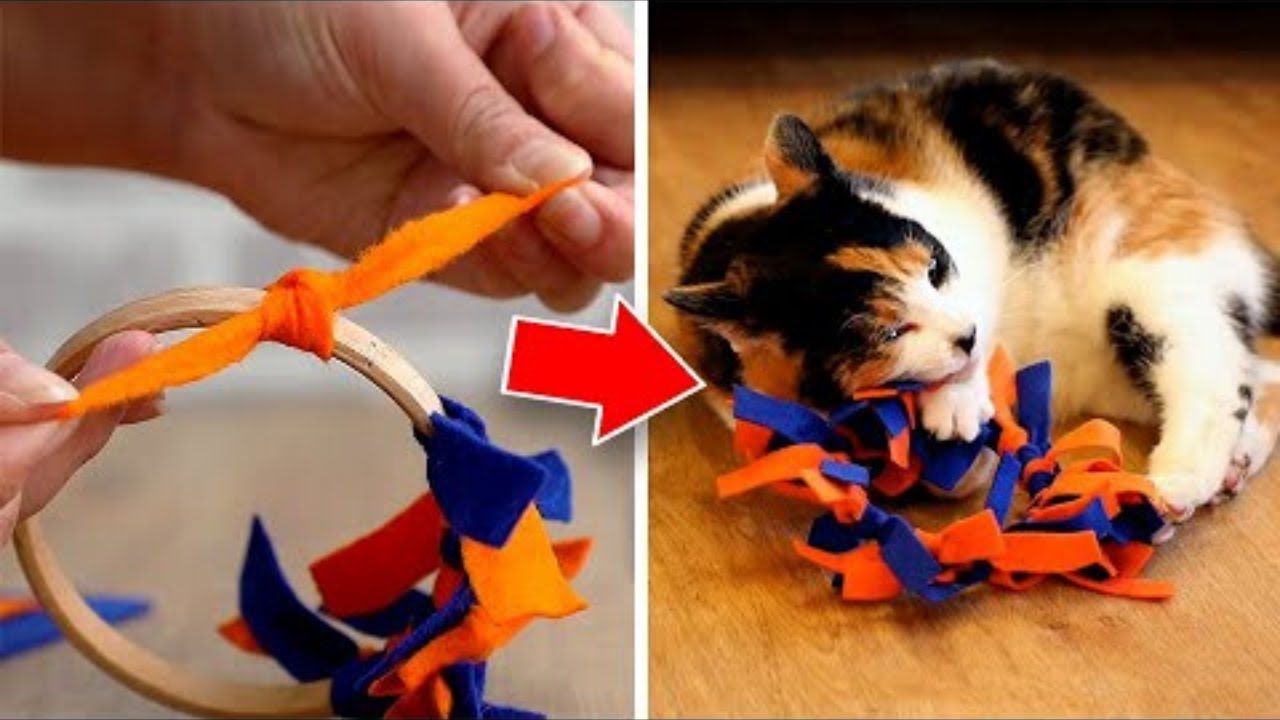Show Your Cat Some Love: Purrfectly Clever Cat Hacks