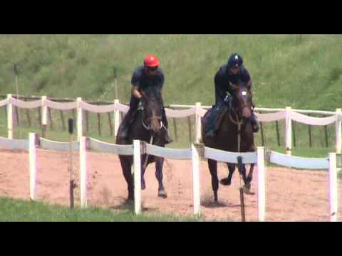 2012-10-15 '10Eligible Dancer trackwork