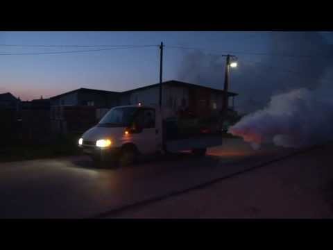 Rendkívüli szúnyogirtás