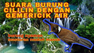 Download lagu MASTERAN SUARA BURUNG CILILIN DENGAN GEMERICIK AIR || UNTUK MASTERAN MURAI BATU || DURASI FULL 1 JAM mp3 Download lagu MASTERAN SUARA BURUNG CILILIN DENGAN GEMERICIK AIR || UNTUK MASTERAN MURAI BATU || DURASI FULL 1 JAM mp3