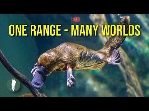 The Hidden Wildlife of Australia's Great Dividing Range | 4K Documentary