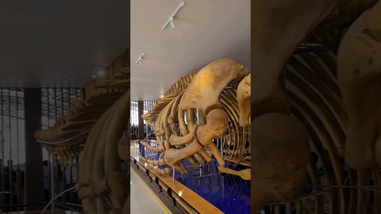 YouTube Short thumbnail