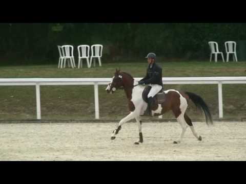 ♥ Requiem de Garlan- jumping horse  by Limbo