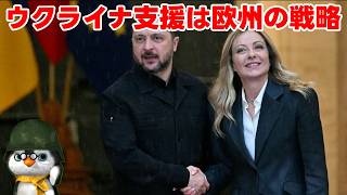 【ペンギン閣下】ウクライナ支援は欧州の戦略【ウクライナ情勢】