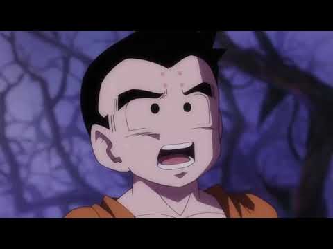 Goku trains with Krillin , Goku and Gohan make Chichi angry, EngDub