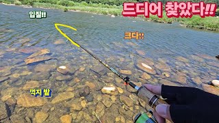 [대물 꺽지를 찾아서_EP.2_북면] 갈수기 시즌 괴물 꺽지를 잡아라~ 북면 꺽지 낚시