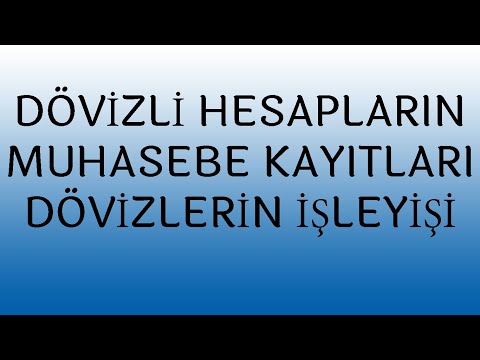 DÖVİZLİ HESAPLARIN MUHASEBE KAYITLARI, DÖVİZLİ HESAPLARIN İŞLEYİŞLERİ, KUR FARKLARI