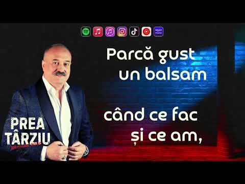 Gheorghe Țopa - PREA TÂRZIU [Lyric Video] [Remake 2026]