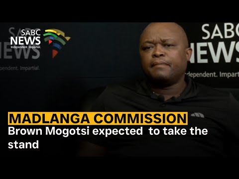 Madlanga Commission | Brown Mogotsi expected  to take the stand