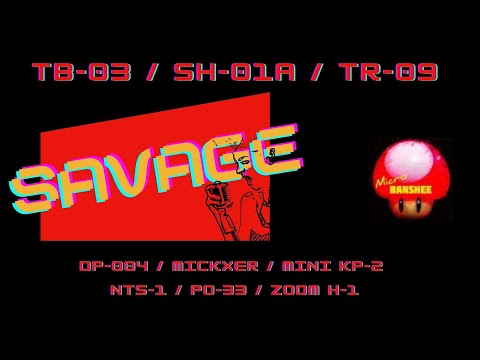 Savage - Boutique's: SH-01A / TB-03 / TR-09 +