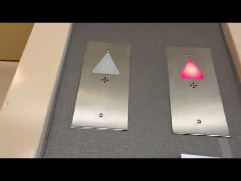 Schindler 330A HT VR Hydraulic Elevators at Wingate by Wyndham, Southport NC