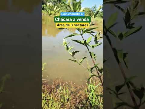 Chácara de 3 hectares com represa, energia no Lago Corumbá IV em Alexânia Goiás a venda por 480Mil