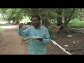 Green Patch In Between Dry Land A Must See Inspiring Video For Every Farmer