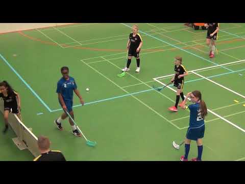 Nibacos valk - Kauwi Anssin Jussin Arena