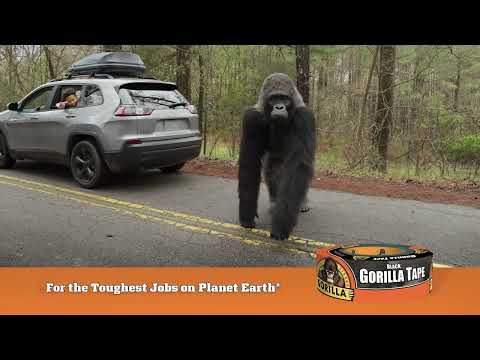Gorilla Tape - Road trip