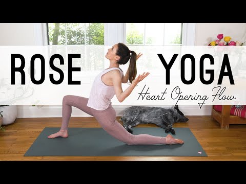 30 Minute Yoga For Beginners Start Yoga Here