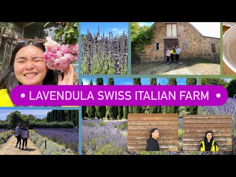 LAVENDULA SWISS ITALIAN FARM |Hannah Leuterio
