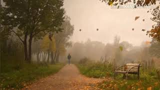 Autumn /The Edgar Winter Group