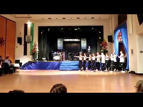 Aufmarsch und Show FVM 2019