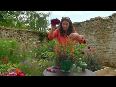 The Secret to Fresh Cut Flowers | Cutting Garden Tips