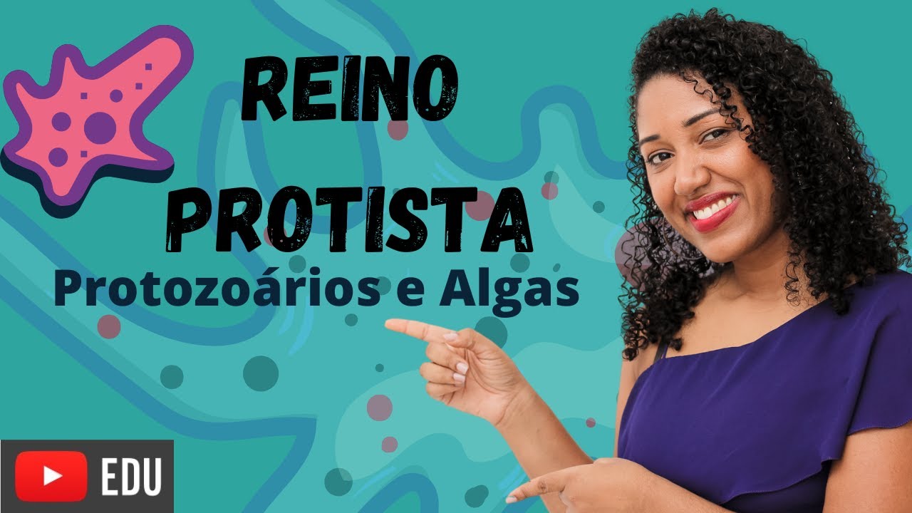 Aula Reino Protista (protozoários e algas)