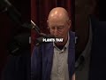 HOW To Drink COFFEE Effectively | Michael Pollan #shorts #joerogan