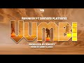 Rayvanny Ft Diamond Platnumz Vumbi Official Audio Sms SKIZA To 811
