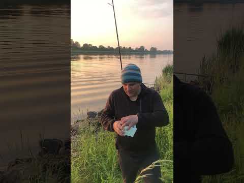 The best eel bait is...🤔??? #eel #fishing #predatorfishing