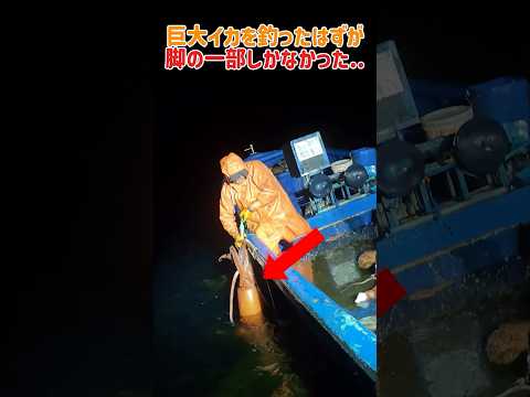 【リベンジ】昨日の逃げ方はバレてるぞ！容赦ない仕返しで巨大イカを一本釣り　#巨大イカ #怪魚釣り #フィッシング #船釣り #漁 #漁師 #海釣り #海のロマン #shorts