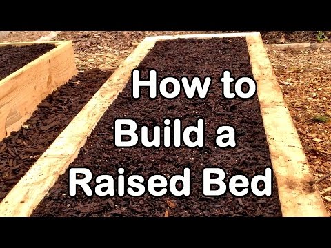 How to Build a Raised Garden Bed with Wood - Easy (EZ) & Cheap Video