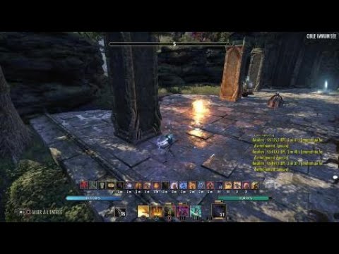 ESO Stamplar Dps 97k Blackwood PS4 laggy rotation new meta