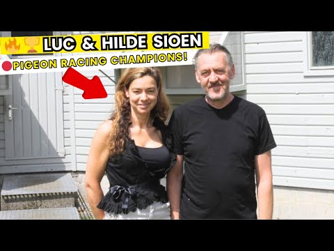 🏆 Luc & Hilde Sioen: Racing Pigeon Champions & Their Legacy of Winners! 🚀