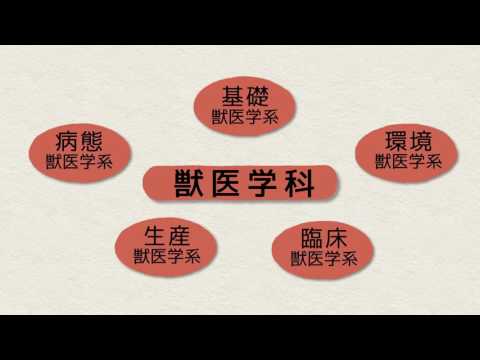麻布大学学部紹介ビデオ：獣医学部